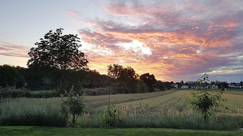 Helle 4.5-Zimmer-Wohnung mit einzigartiger Aussicht in Allschwil – foto 21 di 22