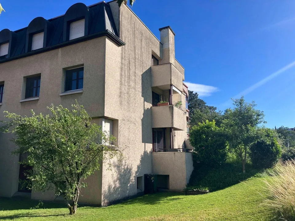 Helle 4.5-Zimmer-Wohnung mit einzigartiger Aussicht in Allschwil – foto 22 di 22