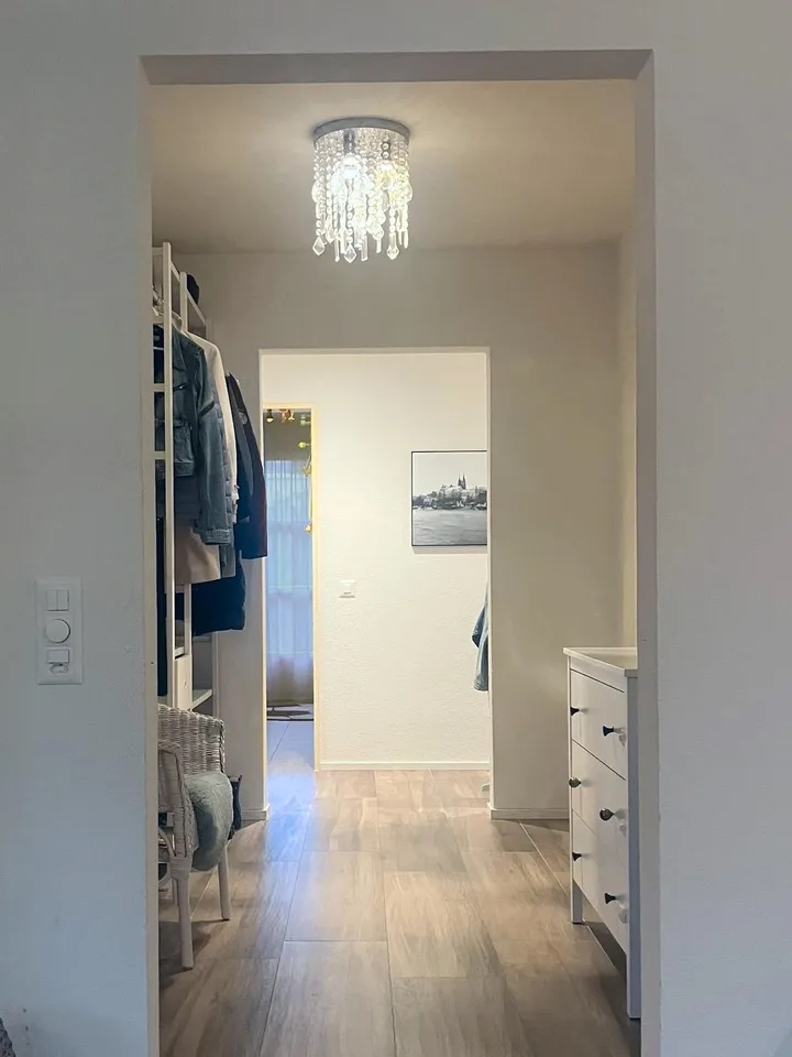 Helle 4.5-Zimmer-Wohnung mit einzigartiger Aussicht in Allschwil – foto 17 di 22