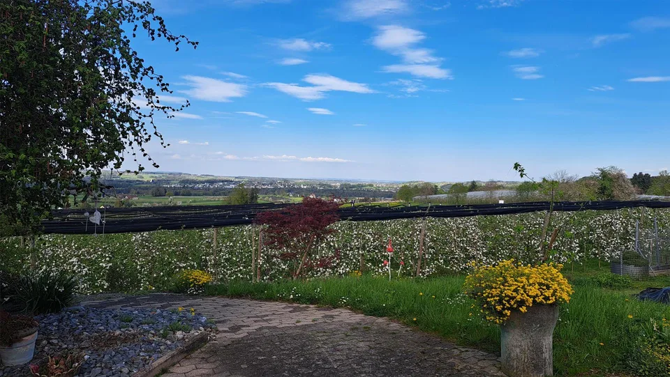 Charmantes EFH mit Aussicht und Potenzial in Schönholzerswilen – Foto 5 von 22