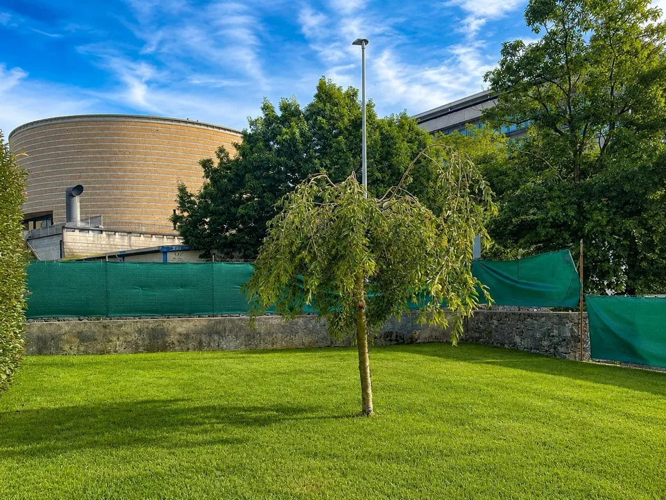 villa d’epoca MENDRISIO – photo 12 sur 18