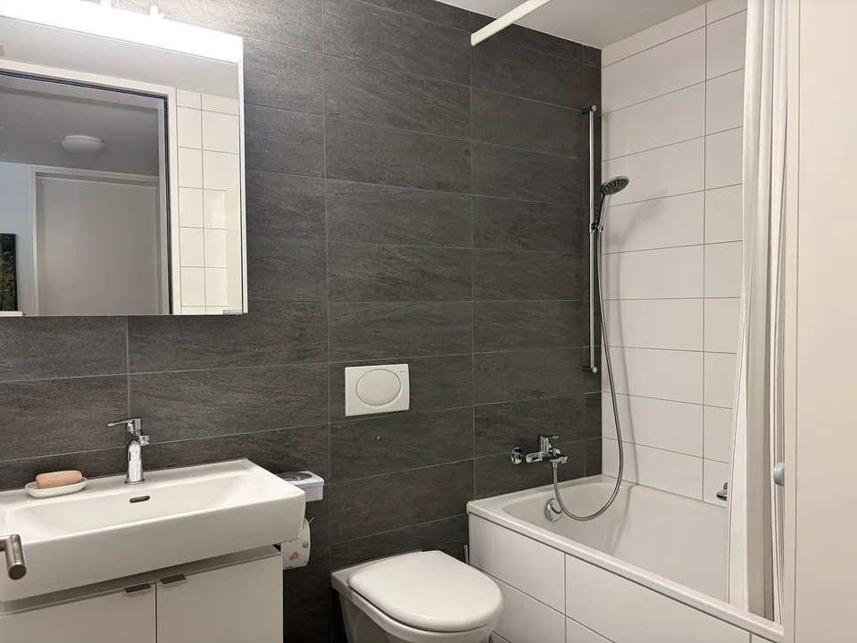 moderne 4-Zimmerwohnung in ruhigem Quartier am Kirschenacker – foto 4 di 7