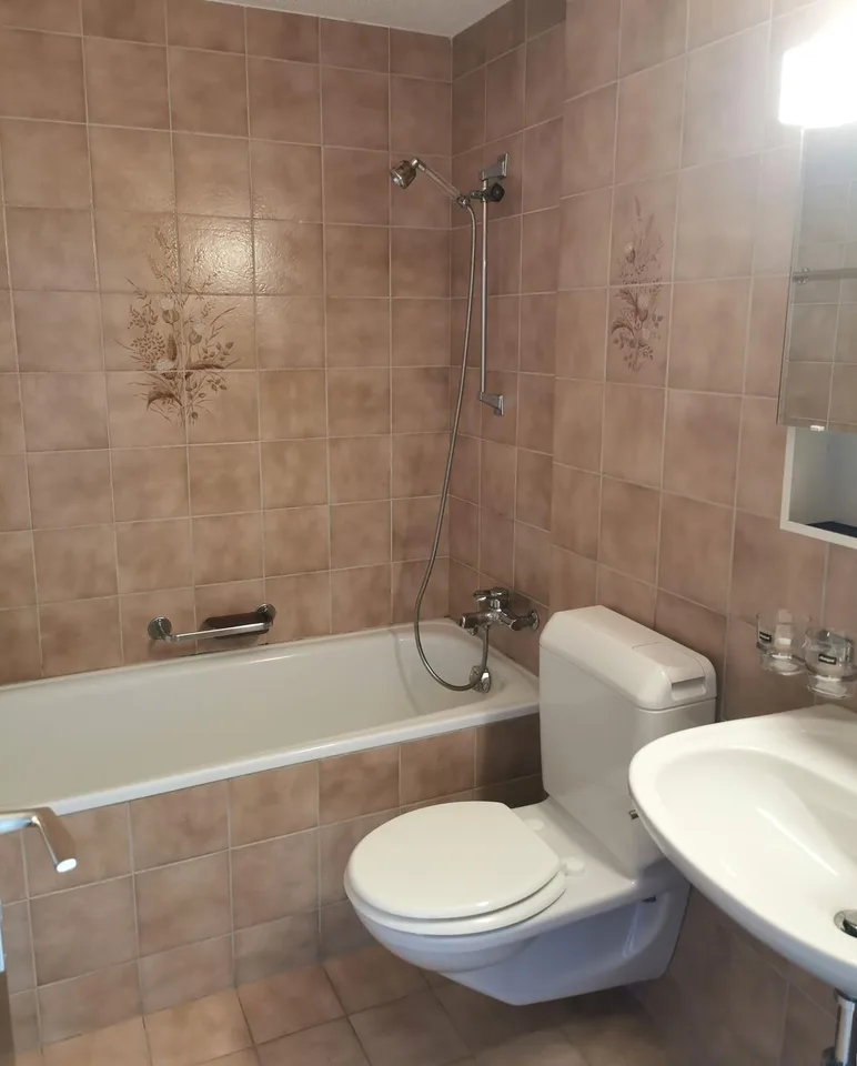 Wohnen in Flawil klingt nach deinem neuen Zuhause? – photo 8 sur 11