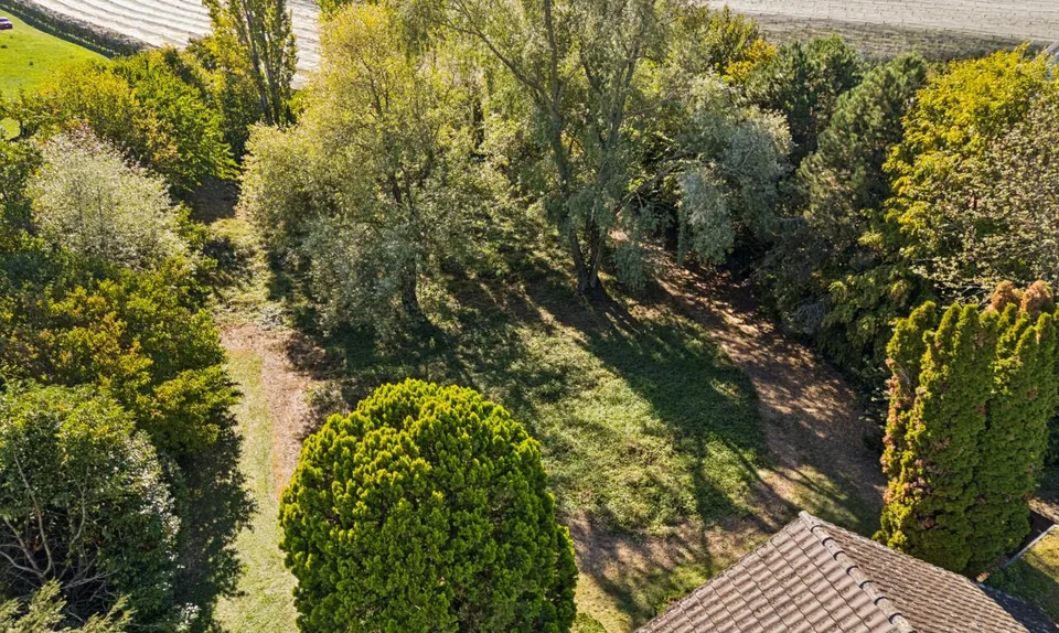 Einmalige Rarität am Bodensee – exklusives Seegrundstück in Kesswil – Foto 9 von 11