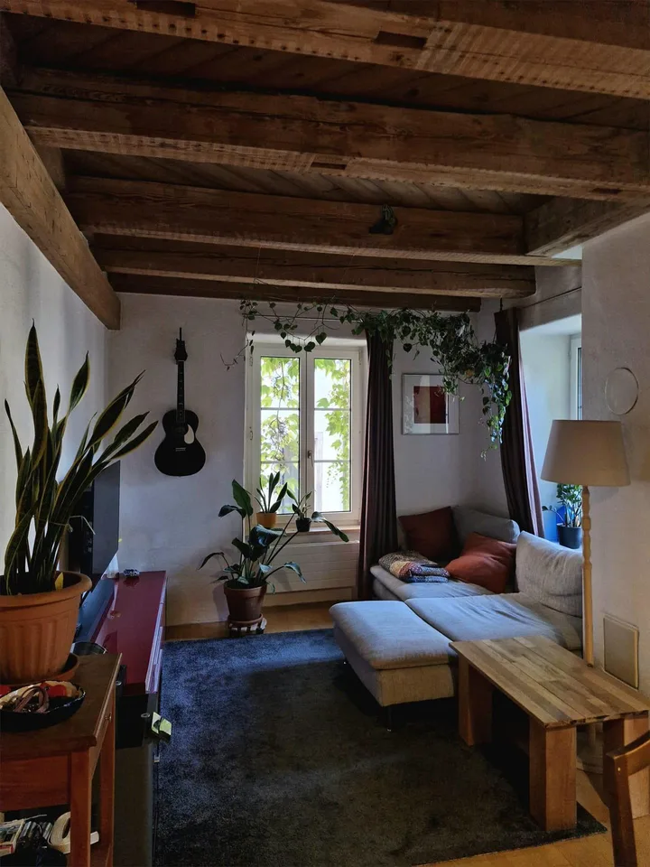 Charmante 2-Zimmerwohnung in der Schaffhauser Altstadt – foto 4 di 12
