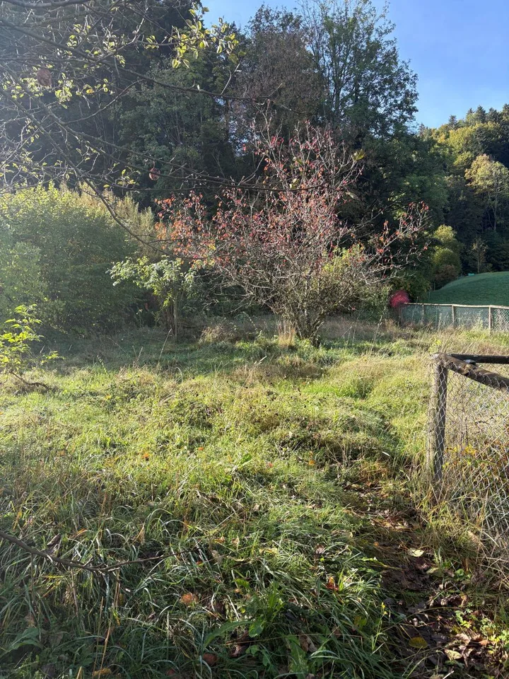 Ehemaliges Stickerei-Haus mit grosszügigem Umschwung – photo 3 sur 15