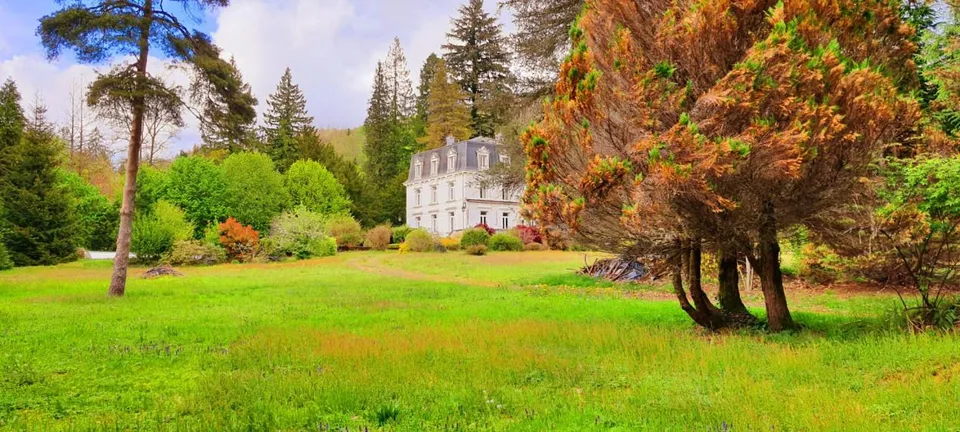 Devenez le gardien dun joyau : un château dans les Vosges et son p... – foto 13 di 13