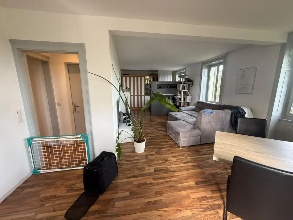 3.0 Zimmerwohnung in Schaffhausen – photo 3 sur 9