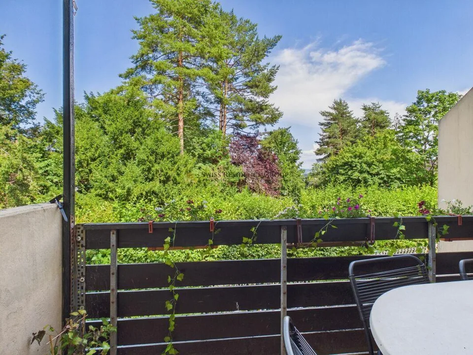 Vie de rêve au pied de l'Üetliberg - Maison jumelée stylée de 6,5 pièces – photo 23 sur 24