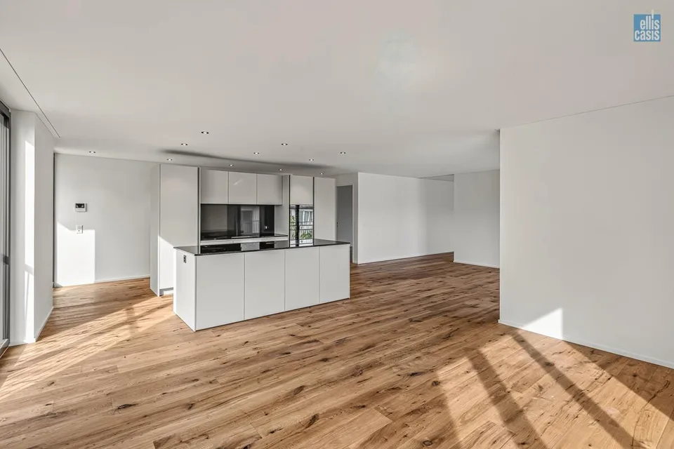 Neue 4,5-Zimmer-Terrassenwohnung mit grosszügigen Nebenräumen! – photo 3 sur 17