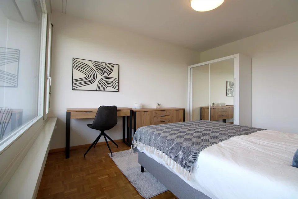 Spacious Coliving with International Connections in Le Grand-Saconnex – Foto 4 von 13