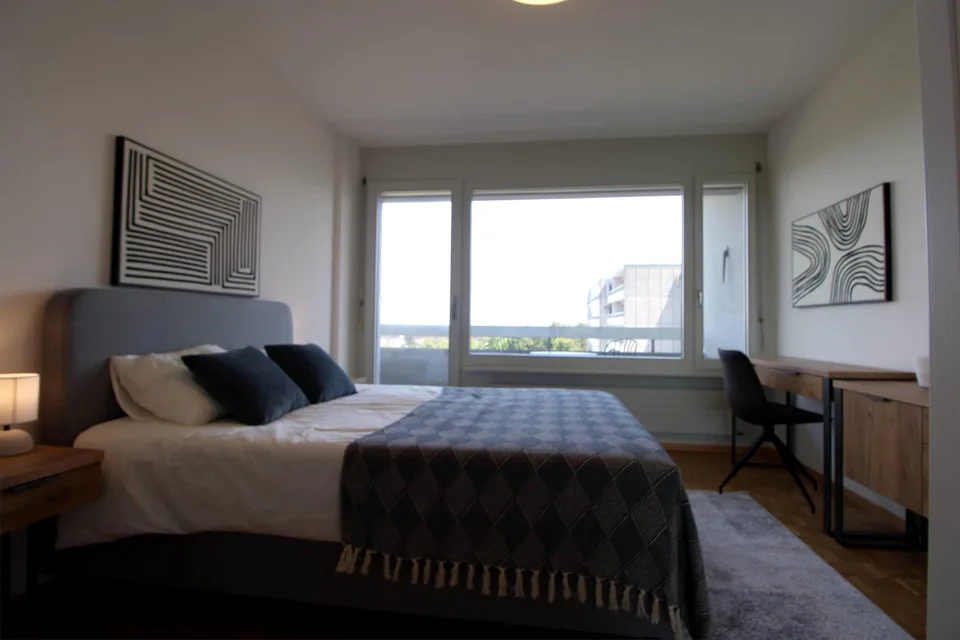 Spacious Coliving with International Connections in Le Grand-Saconnex – Foto 8 von 13