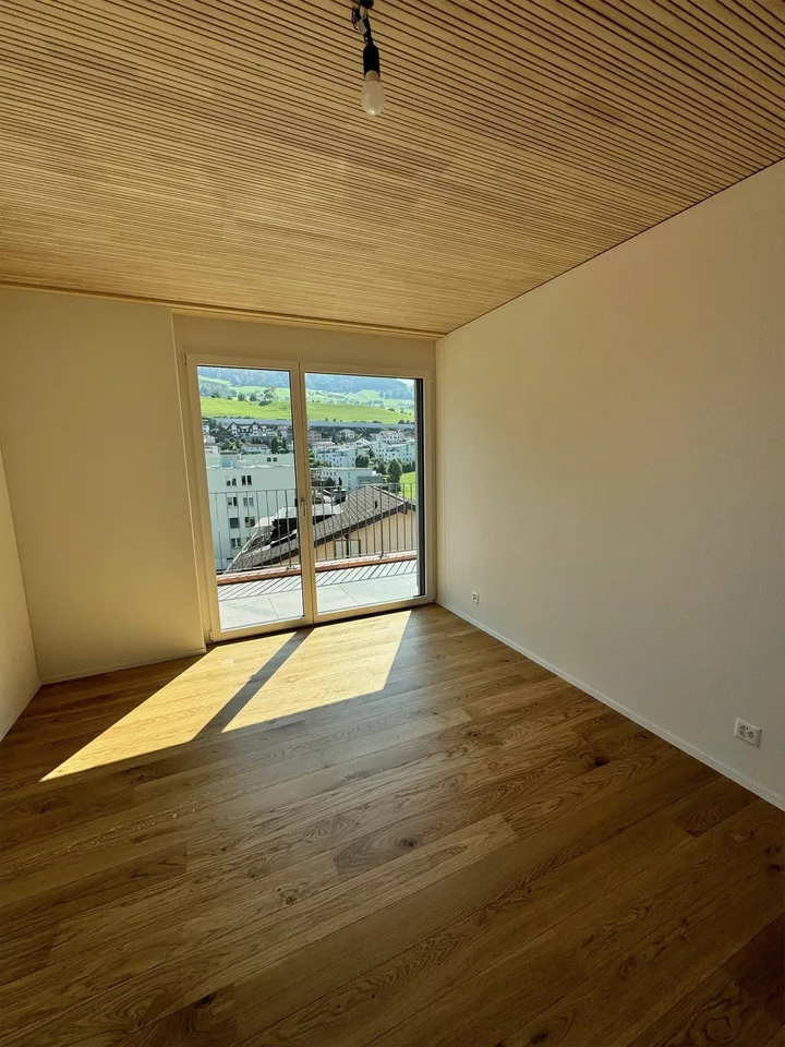 Grosse private Dachterrasse mit herrlicher Aussicht – photo 6 of 6