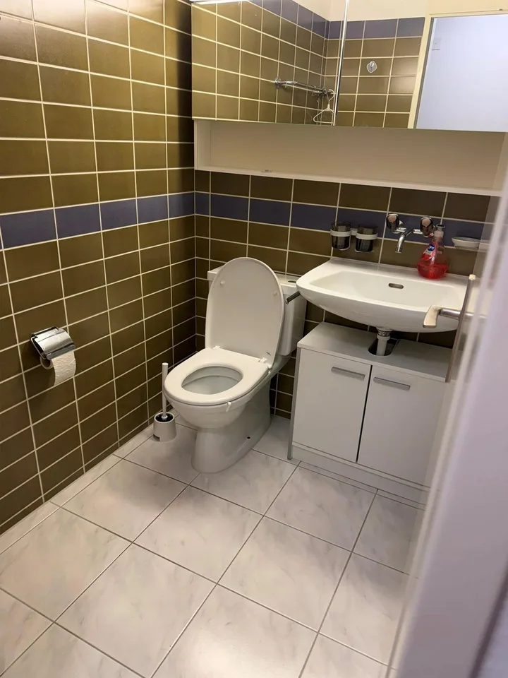 Helle 1-Zimmerwohnung zu vermieten – Foto 3 von 3