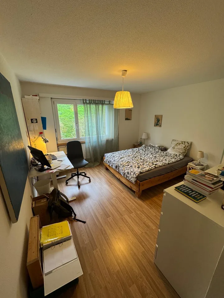 4-Zimmer-Wohnung, helle und gemütliche Wohnung in Kriens – Foto 8 von 10