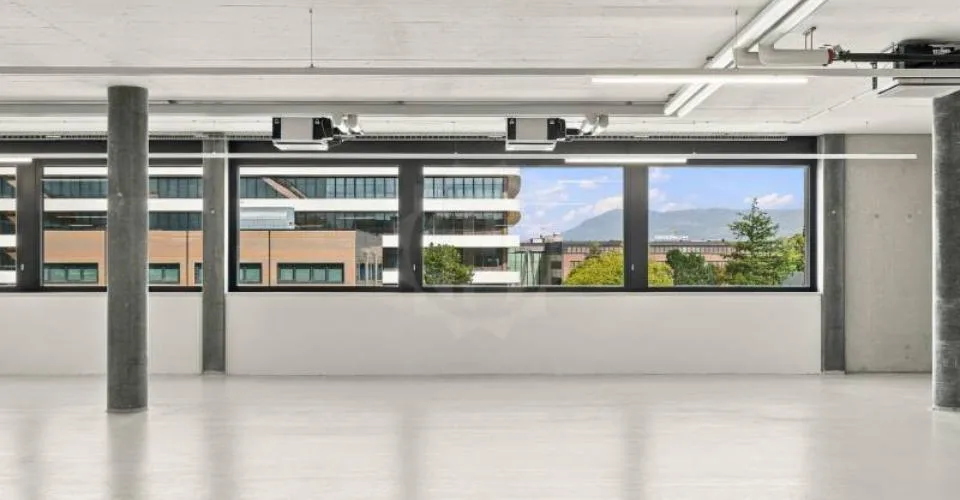 Große Industriefläche - Plan-les-Ouates – Foto 5 von 7