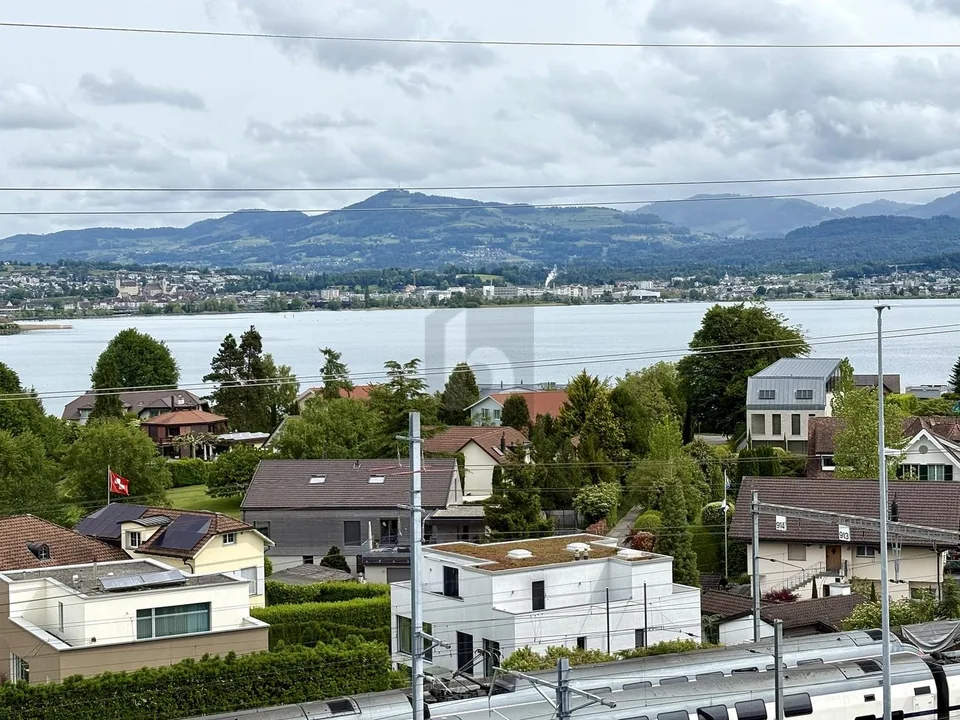 Representative with lake view and terraces