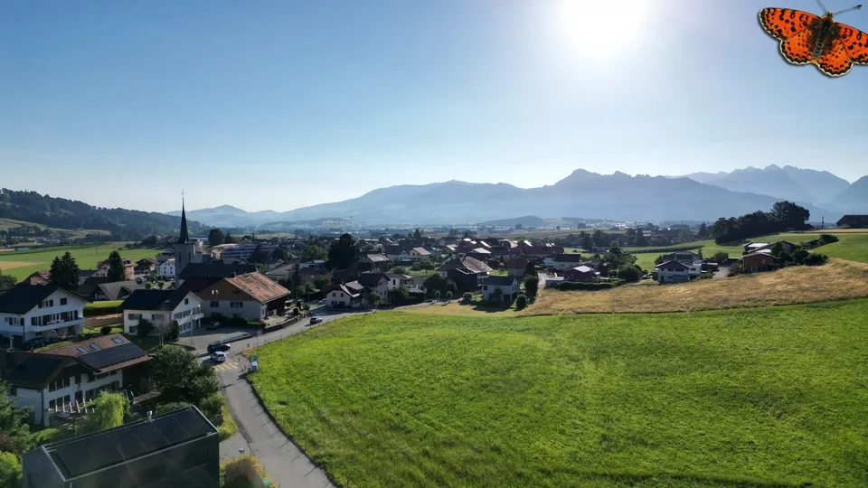 OPPORTUNITY IN VUADENS: House with 2 apartments on large plot