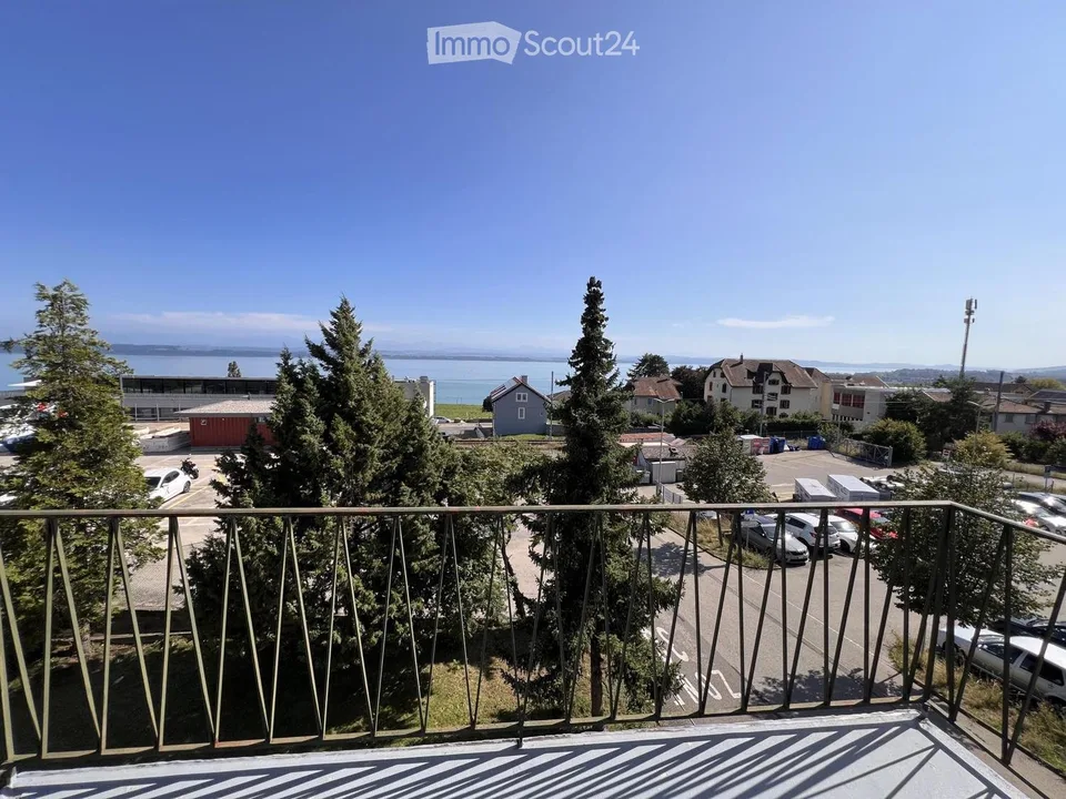 3.5P avec une magnifique vue et renovée en 2025