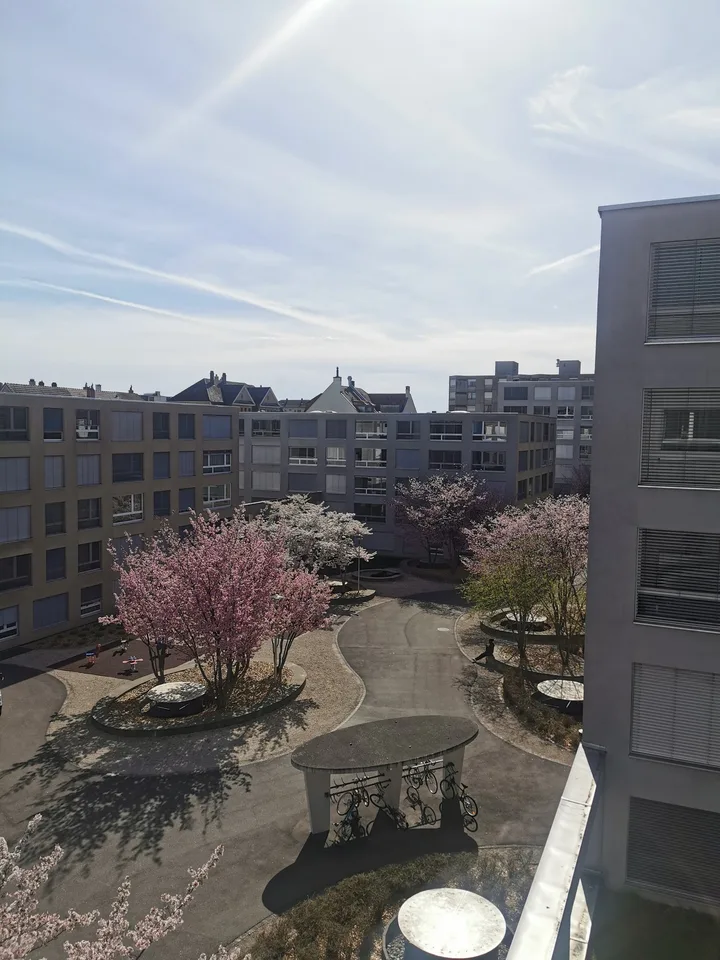 Modernes Loft-Apartment im Erdgeschoss in Biel – sofort verfügbar