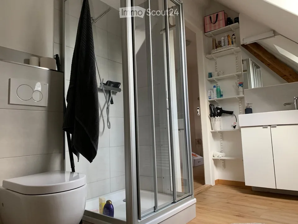 Charmant appartement mansarde