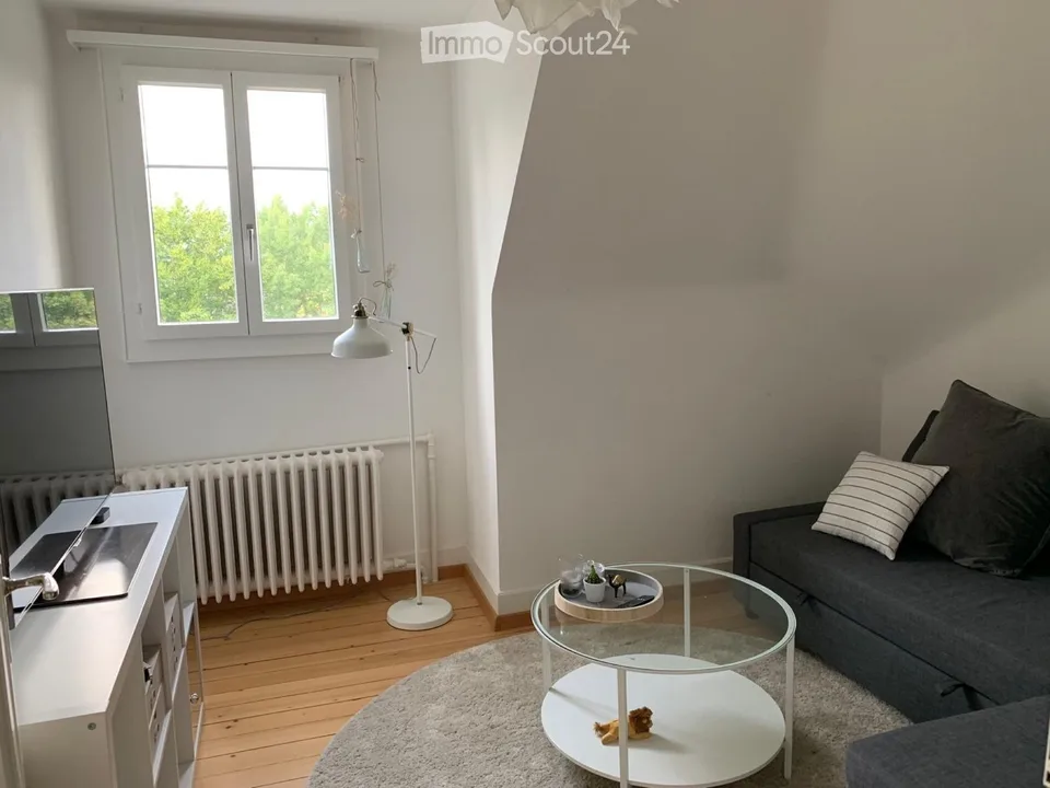 Charmant appartement mansarde