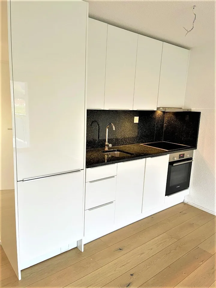 PRIX CONVENABLE - APPARTEMENT MODERNE 3.5 PIÈCES DANS UN QUARTIER RÉSIDENTIEL CALME