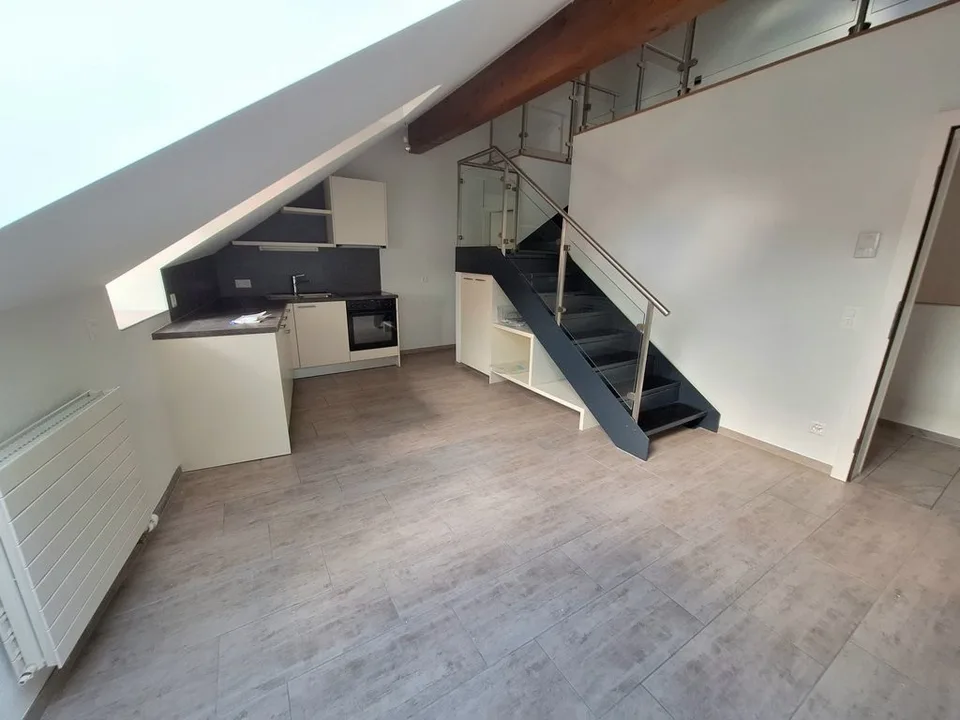 Charmant appartement avec mezzanine