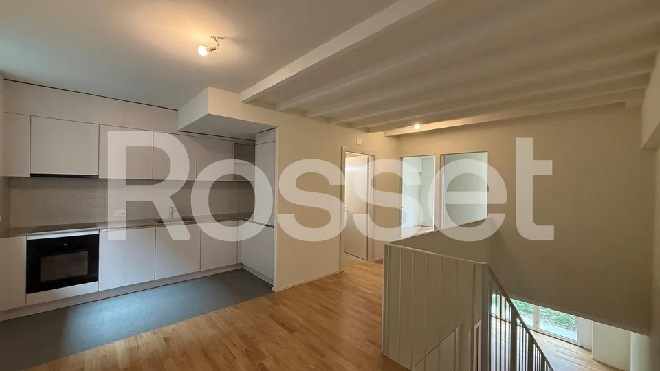 Zu vermieten, wunderschönes Doppelapartment mit 4.5 Zimmern im 2. Untergeschoss – Foto 2 von 12