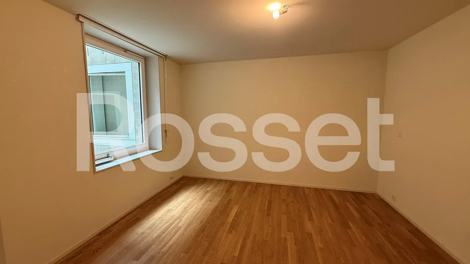 Zu vermieten, wunderschönes Doppelapartment mit 4.5 Zimmern im 2. Untergeschoss – Foto 8 von 12