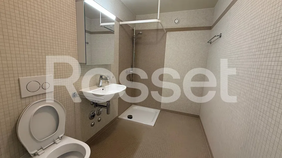 Zu vermieten, wunderschönes Doppelapartment mit 4.5 Zimmern im 2. Untergeschoss – Foto 7 von 12