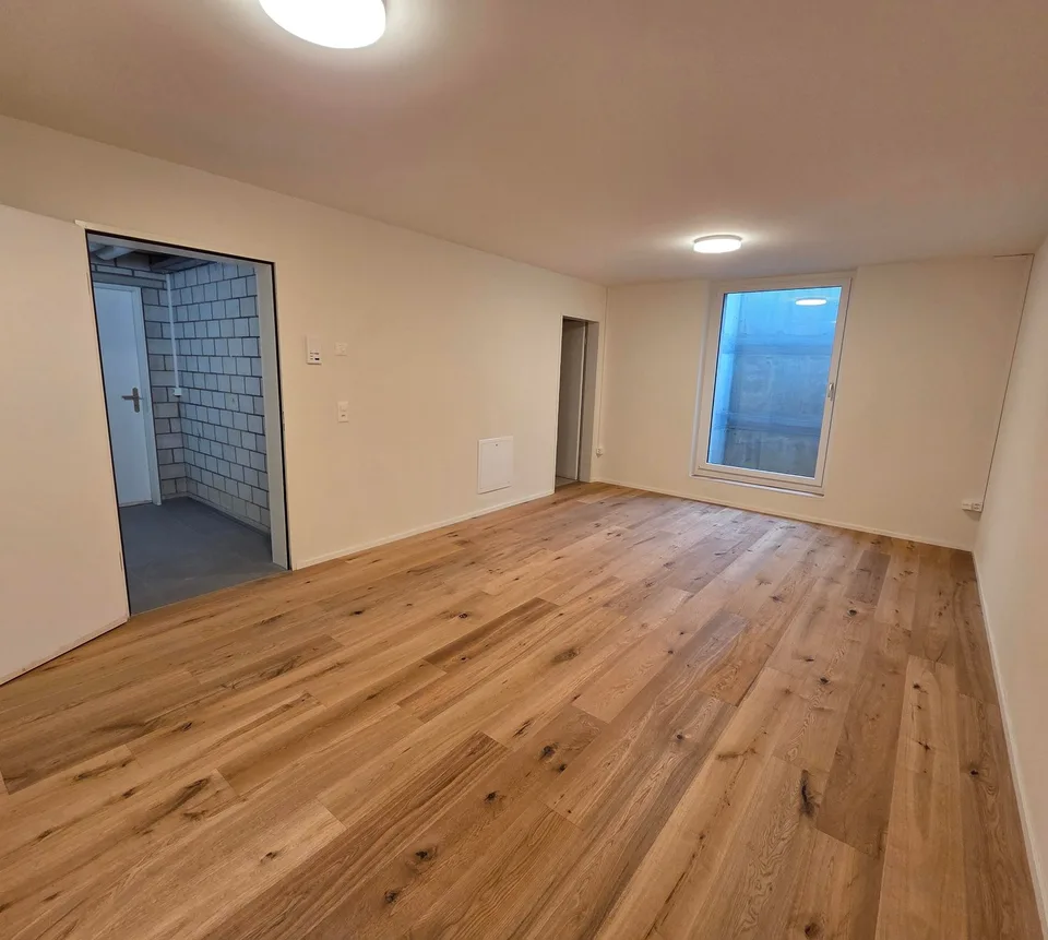 Modernes 1-Zimmer-Büro/Hobbyraum im Untergeschoss in Balsthal