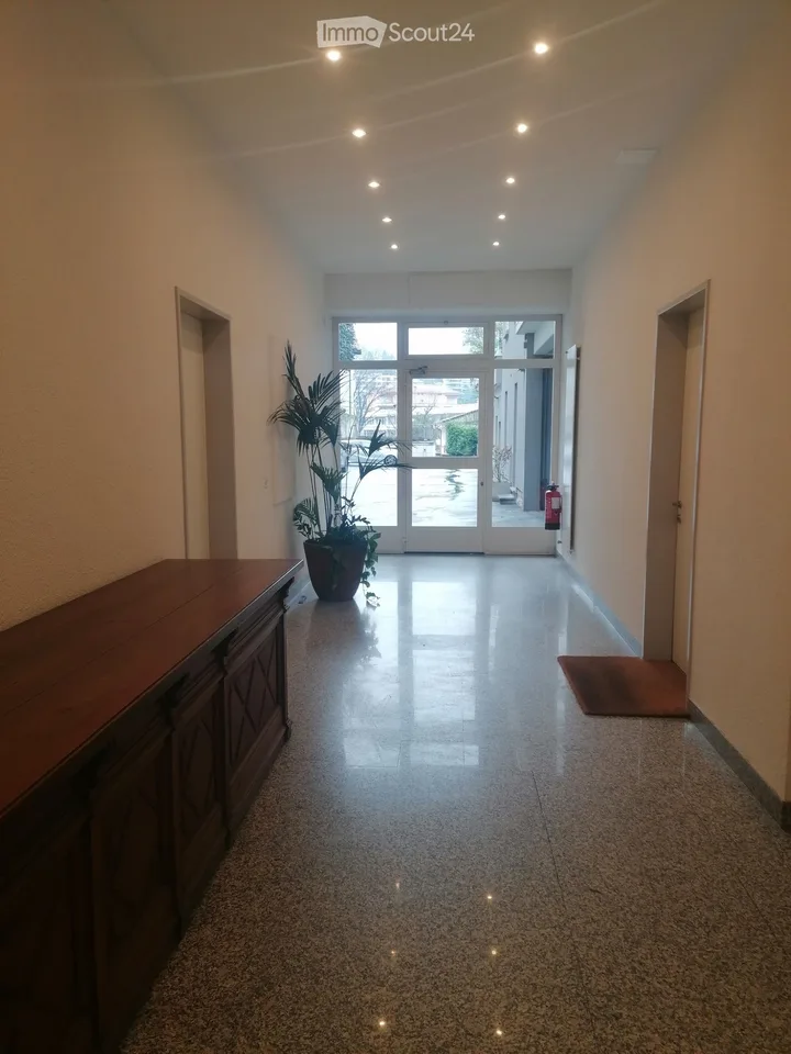 Apartment - Studio - Office