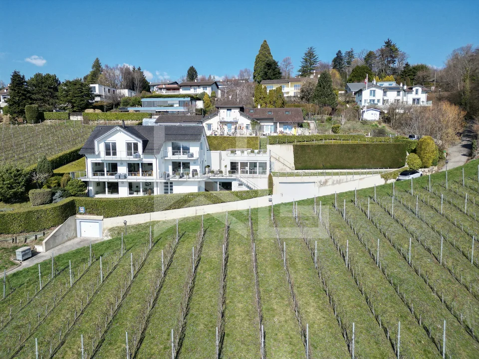Villa contemporaine d'exception avec panorama spectaculaire sur le lac