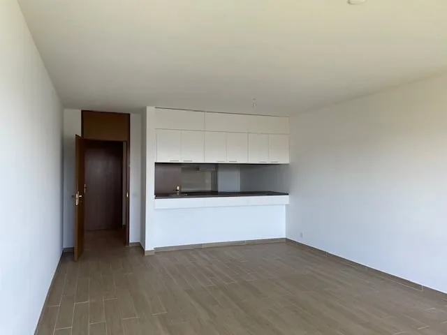 Spazioso appartamento di 2.5 locali con piscina  e vista panoramica a Ruvigliana