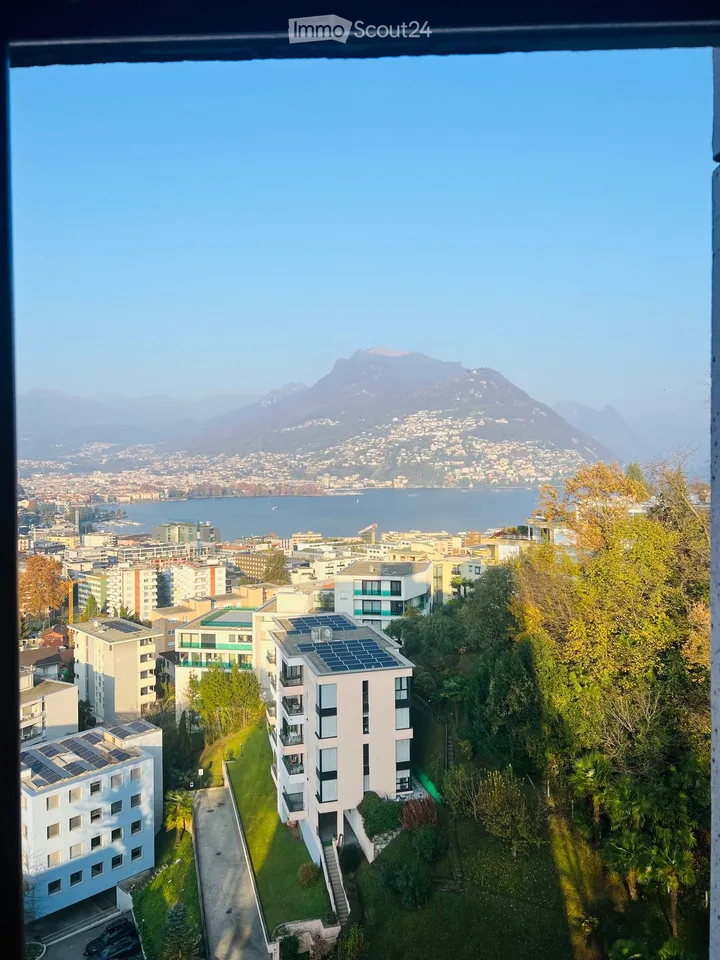 Appartamento 3,5 locali ammobiliato
