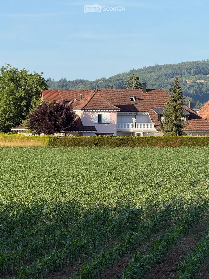 Schönes Studio zu vermieten