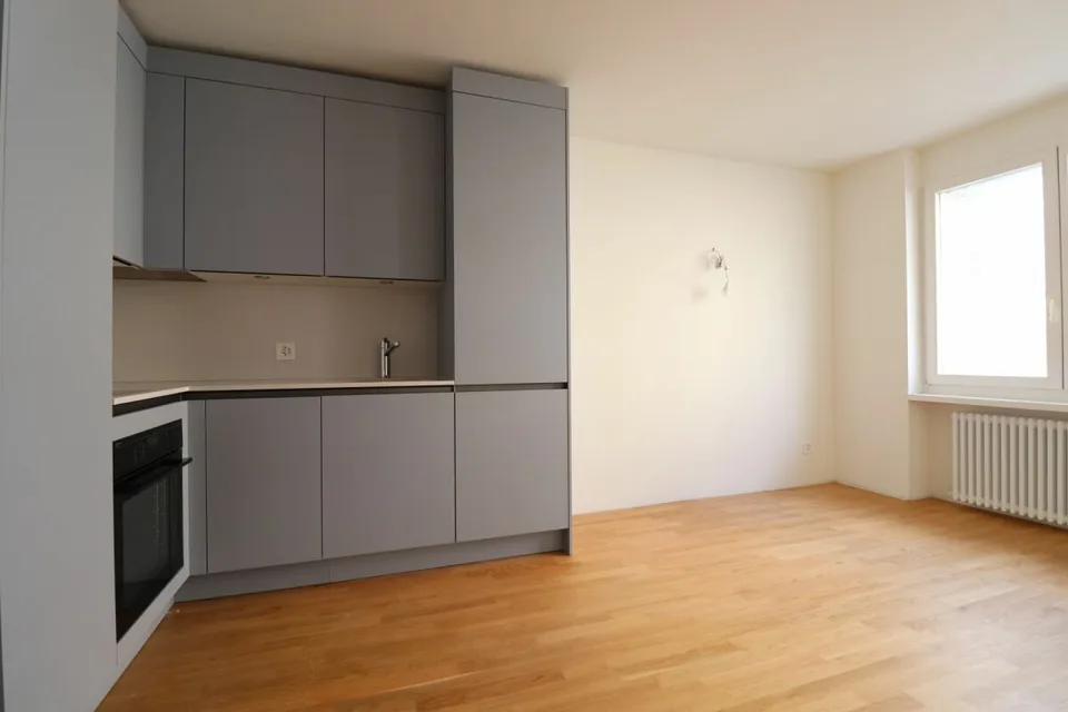 Erstvermietung nach Neuausbau - 1 ½-Zimmer-Wohnung im Gundeli (nähe Bahnhof SBB)