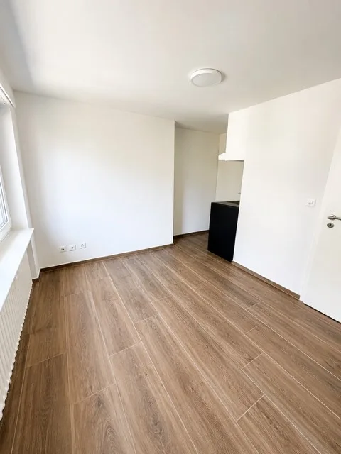 Gemütliches renoviertes 1-Zimmer-Apartment in Münchenstein