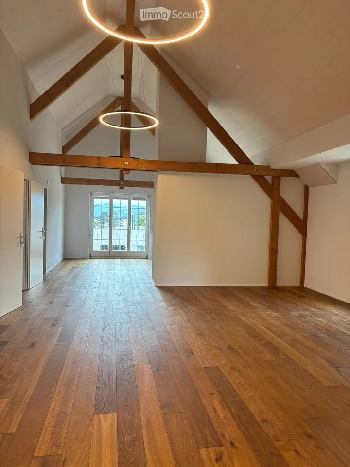 4.5ZiDachwohnung 180m²  20 - 25 Min nach Basel