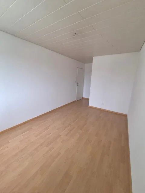 Appartamento 4.5 locali a Gretzenbach - Benvenuti nella vostra nuova casa – foto 7 di 11