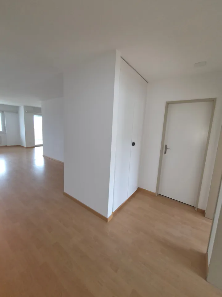 Appartamento 4.5 locali a Gretzenbach - Benvenuti nella vostra nuova casa – foto 3 di 11