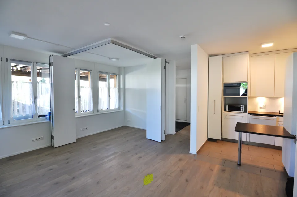 Gemütliche 1.5-Zimmer-Wohnung an ruhiger Lage in Windisch