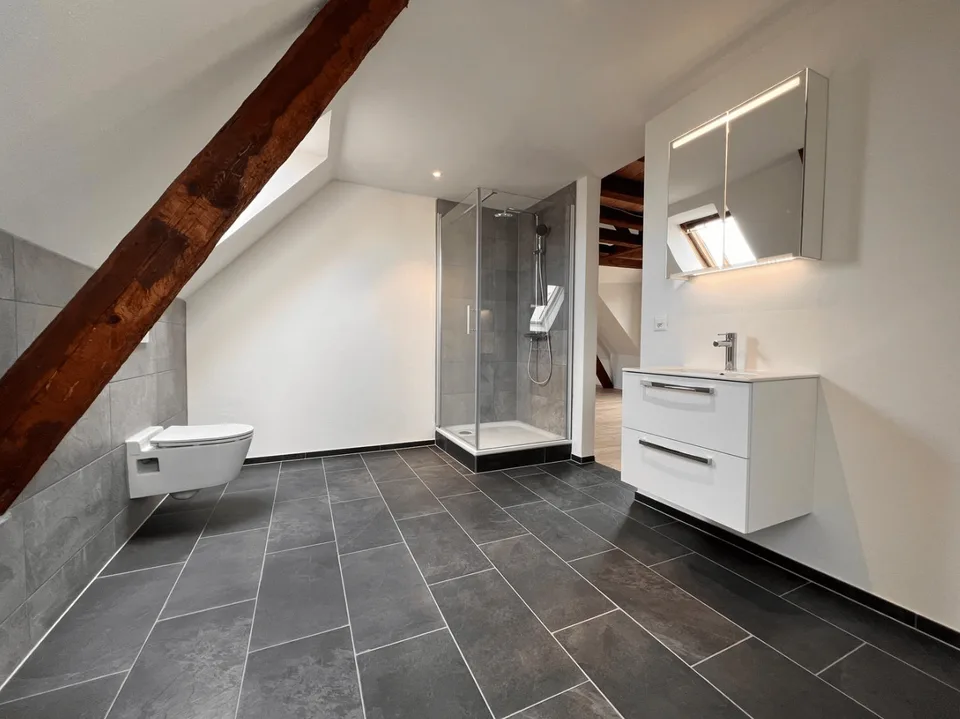 Stilvolle Dachwohnung mit hohen Räumen – modernisiert & zentral gelegen