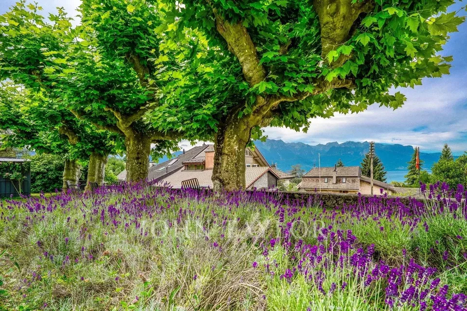 Appartamento di 3,5 locali in affitto ? Ideale per investitori – foto 8 di 12