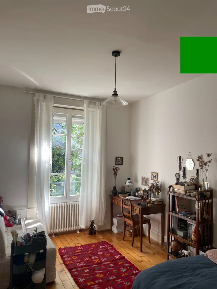 Incantevole appartamento di 2 locali a Carouge