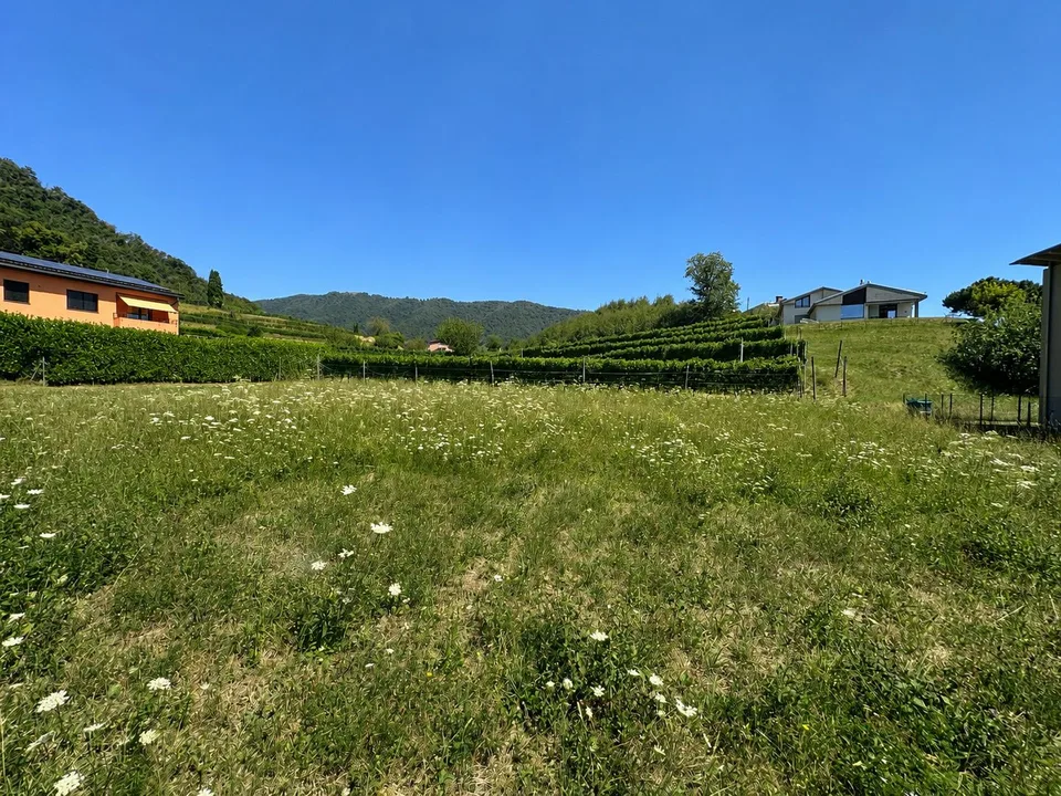 Baumwürdiges, ebenes Grundstück mit genehmigtem Projekt – Foto 7 von 12