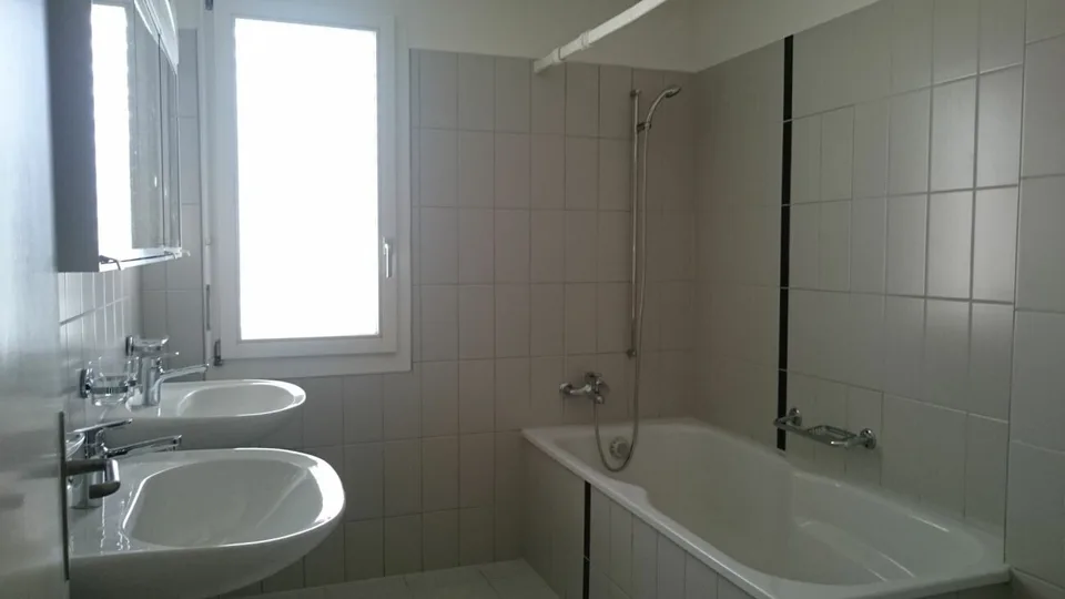 3.5 room attic apartment