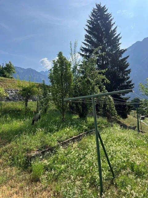 Casa 7.5 locali con bel giardino / Haus mit schönem Garten – photo 29 sur 30