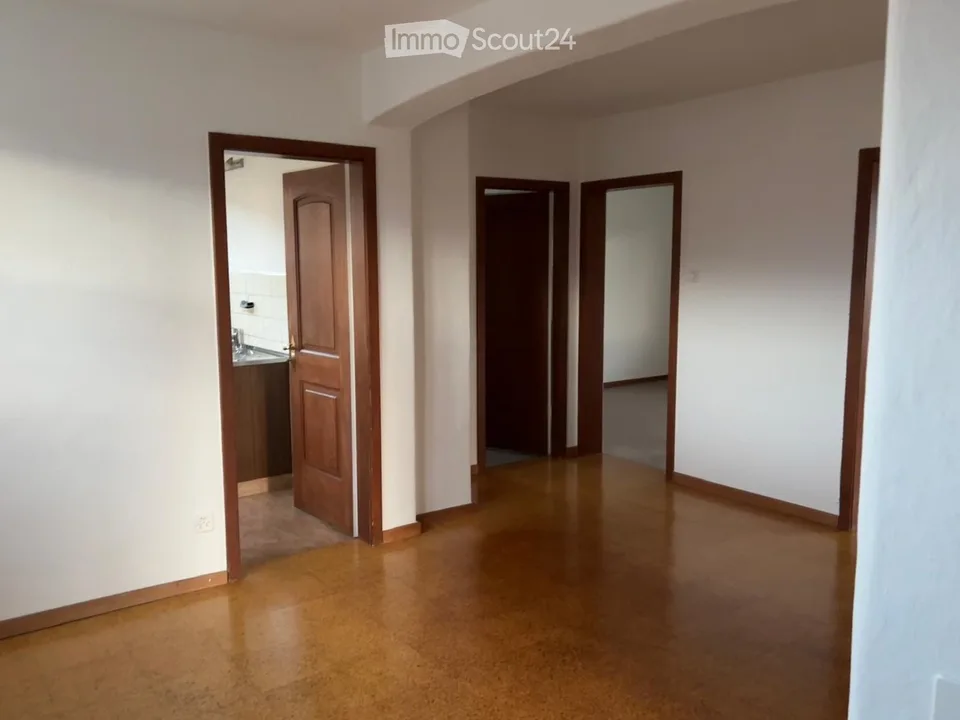 Charmant appartement 3.5 pièces en vieille construction recherche un sous-locataire (118 m²)